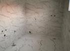 Barda 180 m2 alana sahip yeni modern ev, 400 m2 arsa