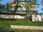 Monteray residencetaki Bar arsa, garaj ve yüzme havuzlu büyük daire