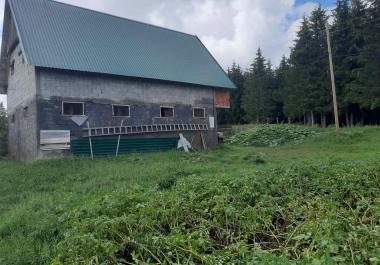 Satılık ev Zabljak