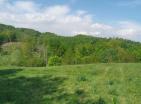 Kolašinde 73000 m2 panoramik manzaralı yatırımlar için büyük güneşli arsa