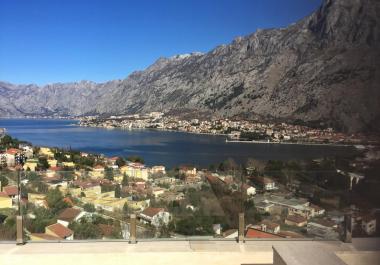  Satılık Daire Kotor