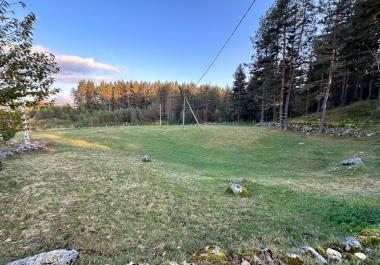  Arsa Zabljak