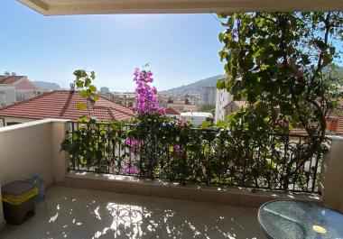 Daire Budva