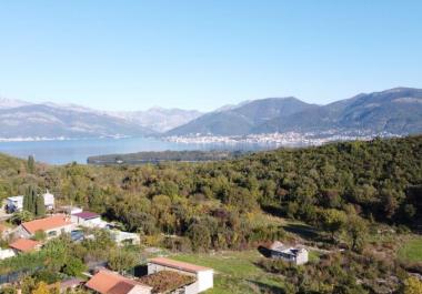 Arsa Bogišići içinde
