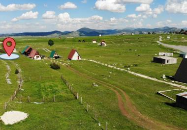 Arsa Motichkij Gaj içinde