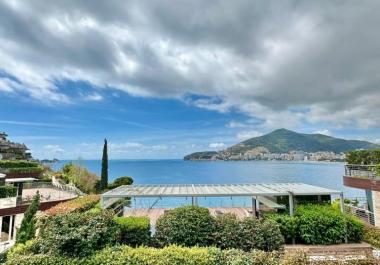 Daire Budva