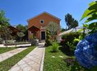 Herceg Novide havuzlu ve deniz manzaralı muhteşem 266 m2 villa satılık