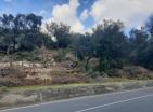 Đenovićide denize yakın lüks 919 m2 arsa