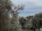 Panoramik deniz manzaralı ve havuzlu Barda lüks modern 225 m2 ev