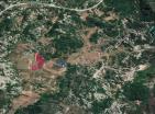 eko geri çekilme veya tarım için Grahovoda 164.000 m2 arazi