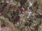 eko geri çekilme veya tarım için Grahovoda 164.000 m2 arazi